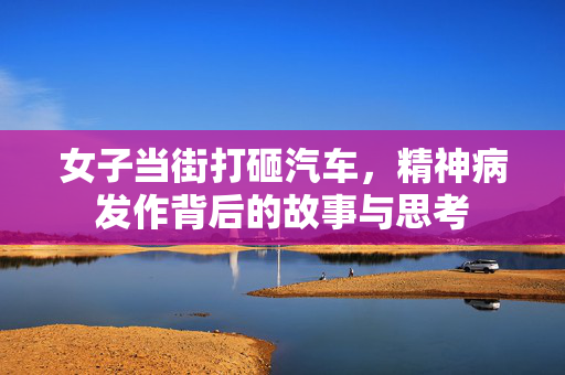 女子当街打砸汽车，精神病发作背后的故事与思考