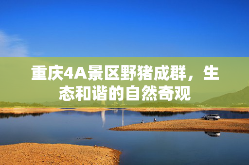 重庆4A景区野猪成群，生态和谐的自然奇观