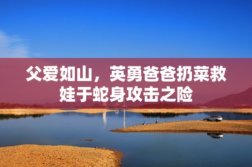 父爱如山，英勇爸爸扔菜救娃于蛇身攻击之险