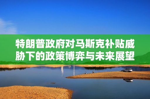 特朗普政府对马斯克补贴威胁下的政策博弈与未来展望