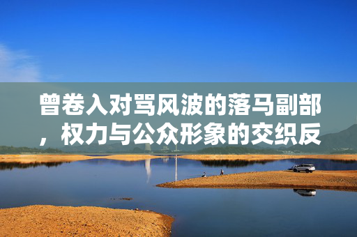 曾卷入对骂风波的落马副部，权力与公众形象的交织反思