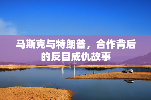 马斯克与特朗普，合作背后的反目成仇故事