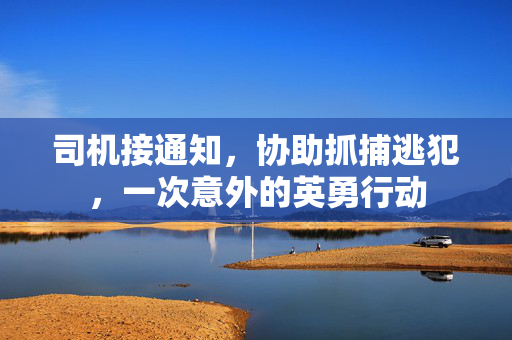 司机接通知，协助抓捕逃犯，一次意外的英勇行动