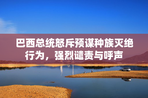 巴西总统怒斥预谋种族灭绝行为，强烈谴责与呼声