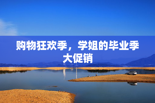购物狂欢季，学姐的毕业季大促销