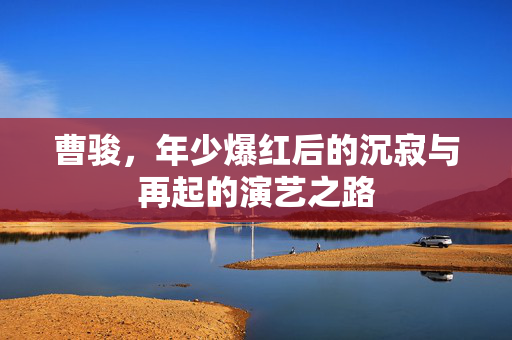 曹骏，年少爆红后的沉寂与再起的演艺之路