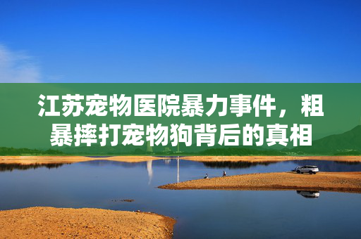 江苏宠物医院暴力事件，粗暴摔打宠物狗背后的真相