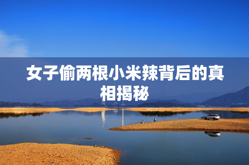 女子偷两根小米辣背后的真相揭秘