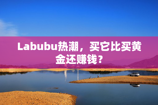 Labubu热潮，买它比买黄金还赚钱？