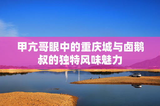 甲亢哥眼中的重庆城与卤鹅叔的独特风味魅力