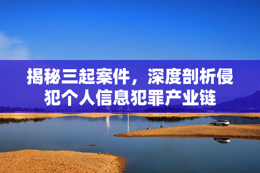 揭秘三起案件，深度剖析侵犯个人信息犯罪产业链