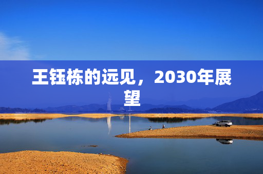王钰栋的远见，2030年展望