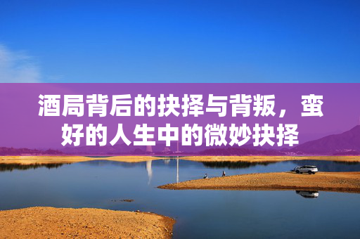 酒局背后的抉择与背叛，蛮好的人生中的微妙抉择