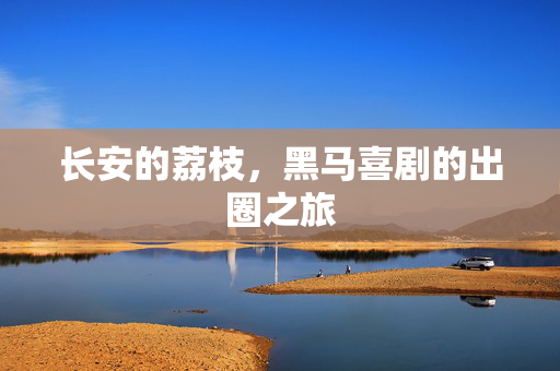 长安的荔枝，黑马喜剧的出圈之旅