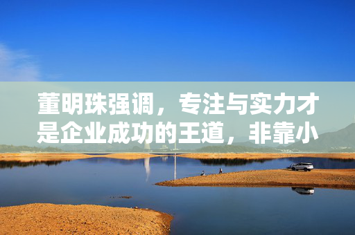 董明珠强调，专注与实力才是企业成功的王道，非靠小三小四