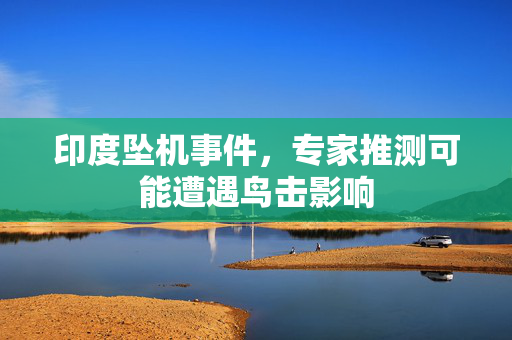 印度坠机事件，专家推测可能遭遇鸟击影响
