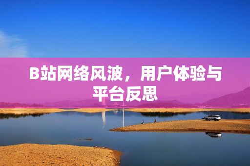 B站网络风波，用户体验与平台反思