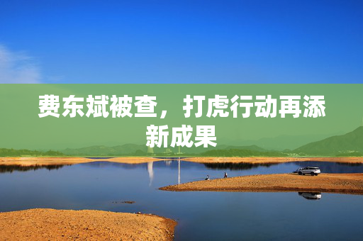 费东斌被查，打虎行动再添新成果