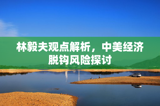 林毅夫观点解析，中美经济脱钩风险探讨