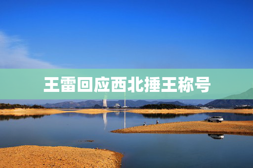 王雷回应西北捶王称号