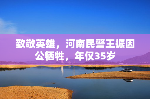 致敬英雄，河南民警王振因公牺牲，年仅35岁