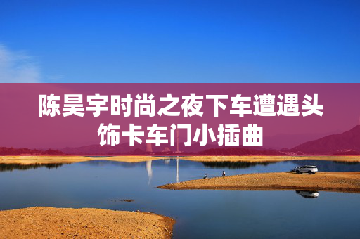 陈昊宇时尚之夜下车遭遇头饰卡车门小插曲