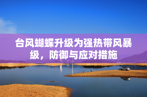 台风蝴蝶升级为强热带风暴级，防御与应对措施