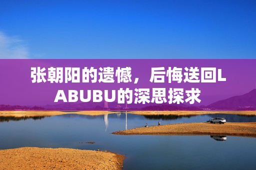 张朝阳的遗憾，后悔送回LABUBU的深思探求