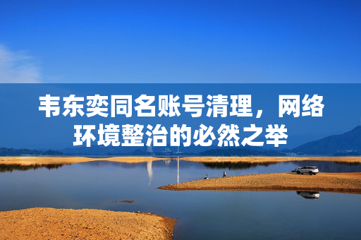 韦东奕同名账号清理，网络环境整治的必然之举