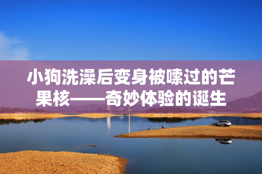小狗洗澡后变身被嗦过的芒果核——奇妙体验的诞生