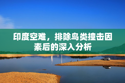 印度空难，排除鸟类撞击因素后的深入分析