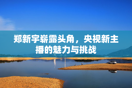 郑新宇崭露头角，央视新主播的魅力与挑战
