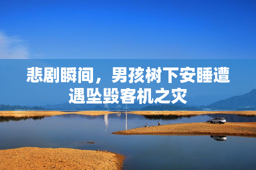 悲剧瞬间，男孩树下安睡遭遇坠毁客机之灾