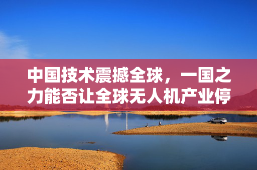 中国技术震撼全球，一国之力能否让全球无人机产业停摆一年？