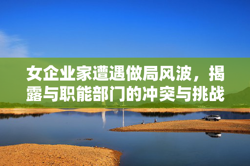 女企业家遭遇做局风波，揭露与职能部门的冲突与挑战