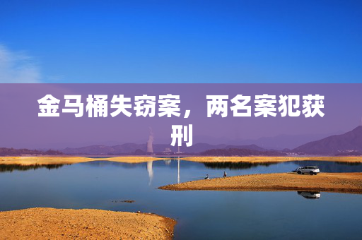 金马桶失窃案，两名案犯获刑