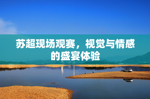 苏超现场观赛，视觉与情感的盛宴体验