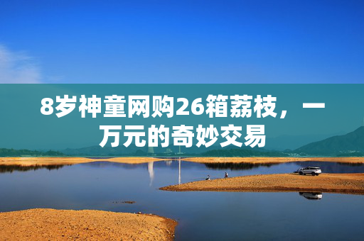 8岁神童网购26箱荔枝，一万元的奇妙交易