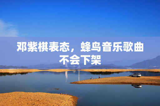 邓紫棋表态，蜂鸟音乐歌曲不会下架