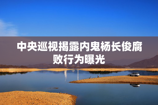 中央巡视揭露内鬼杨长俊腐败行为曝光