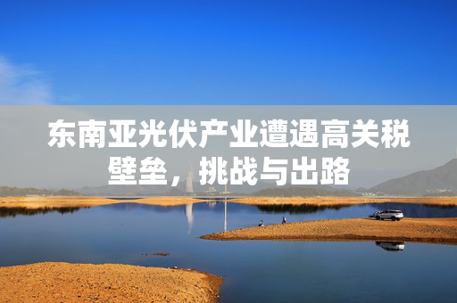 东南亚光伏产业遭遇高关税壁垒，挑战与出路