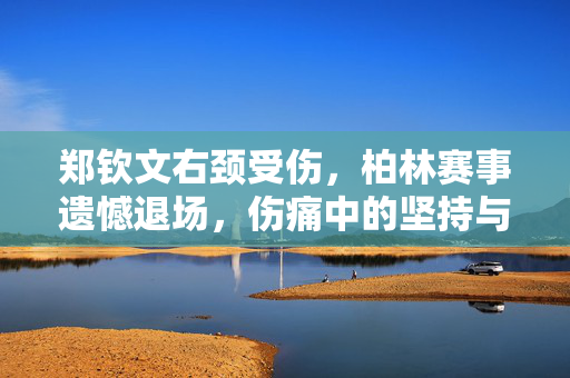 郑钦文右颈受伤，柏林赛事遗憾退场，伤痛中的坚持与未来展望