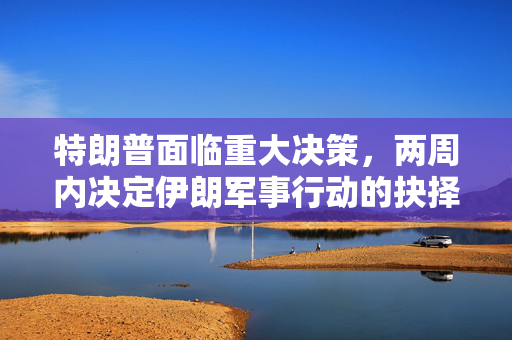特朗普面临重大决策，两周内决定伊朗军事行动的抉择