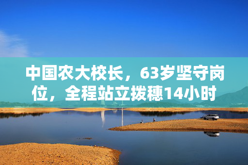 中国农大校长，63岁坚守岗位，全程站立拨穗14小时的奉献精神