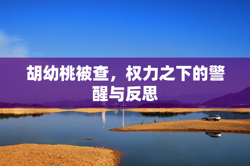 胡幼桃被查，权力之下的警醒与反思