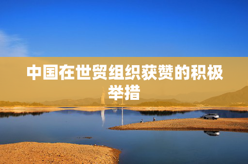 中国在世贸组织获赞的积极举措