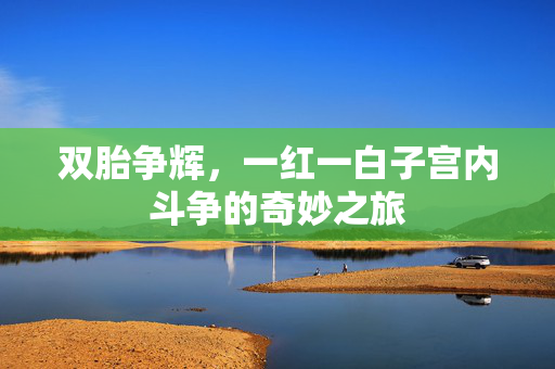 双胎争辉，一红一白子宫内斗争的奇妙之旅