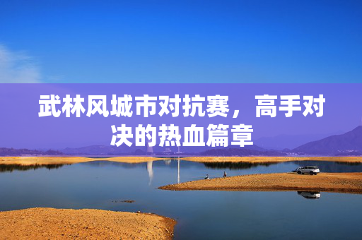武林风城市对抗赛，高手对决的热血篇章
