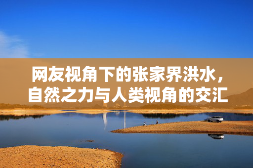 网友视角下的张家界洪水，自然之力与人类视角的交汇