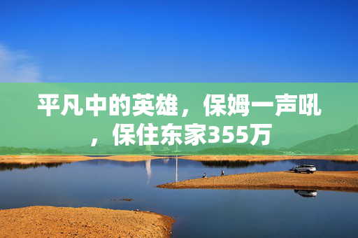 平凡中的英雄，保姆一声吼，保住东家355万